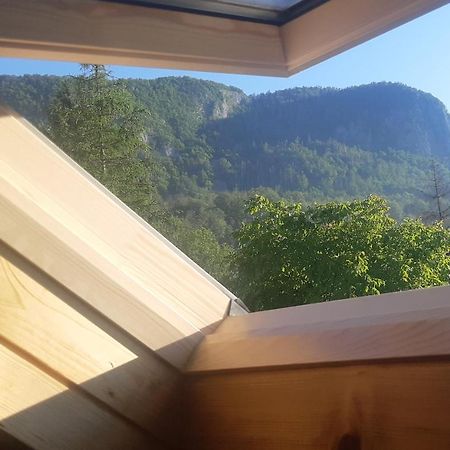 Apartma Nina Bohinj Exteriör bild