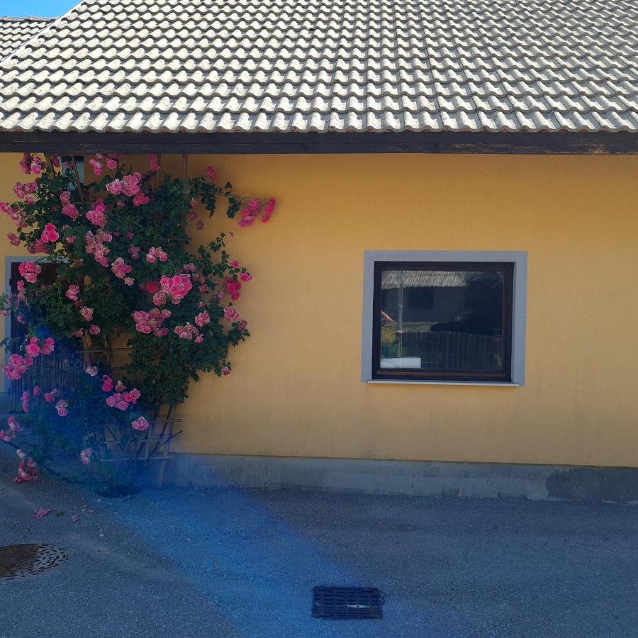 Apartma Nina Bohinj Exteriör bild